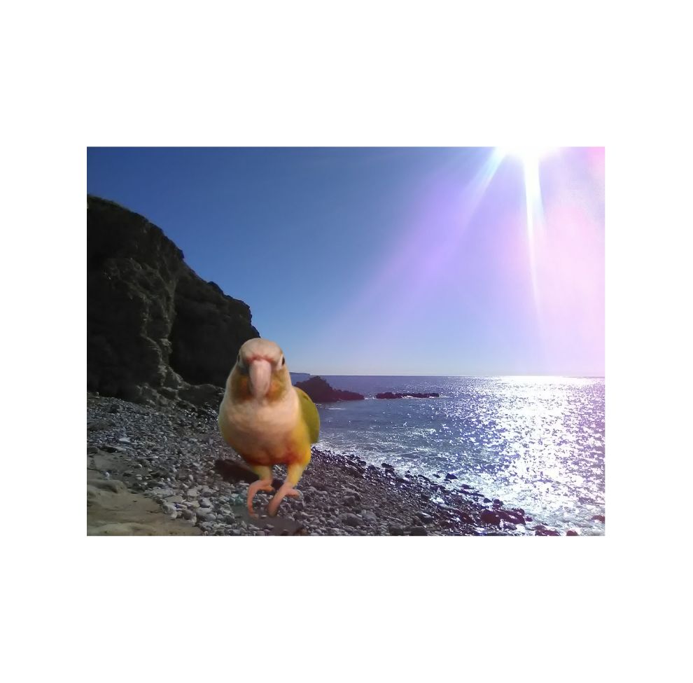 Behind the Scenes of the Moana Music&nbsp;Show